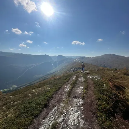 Sentralt I Myrkdalen *