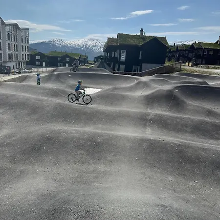 Sentralt I Myrkdalen Voss