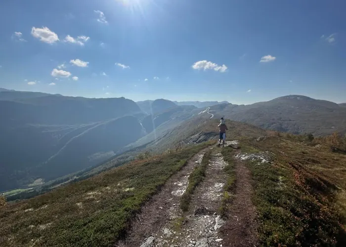 Sentralt I Myrkdalen *